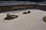 071 JARDIN ZEN TEMPLE RYOANJI.JPG 